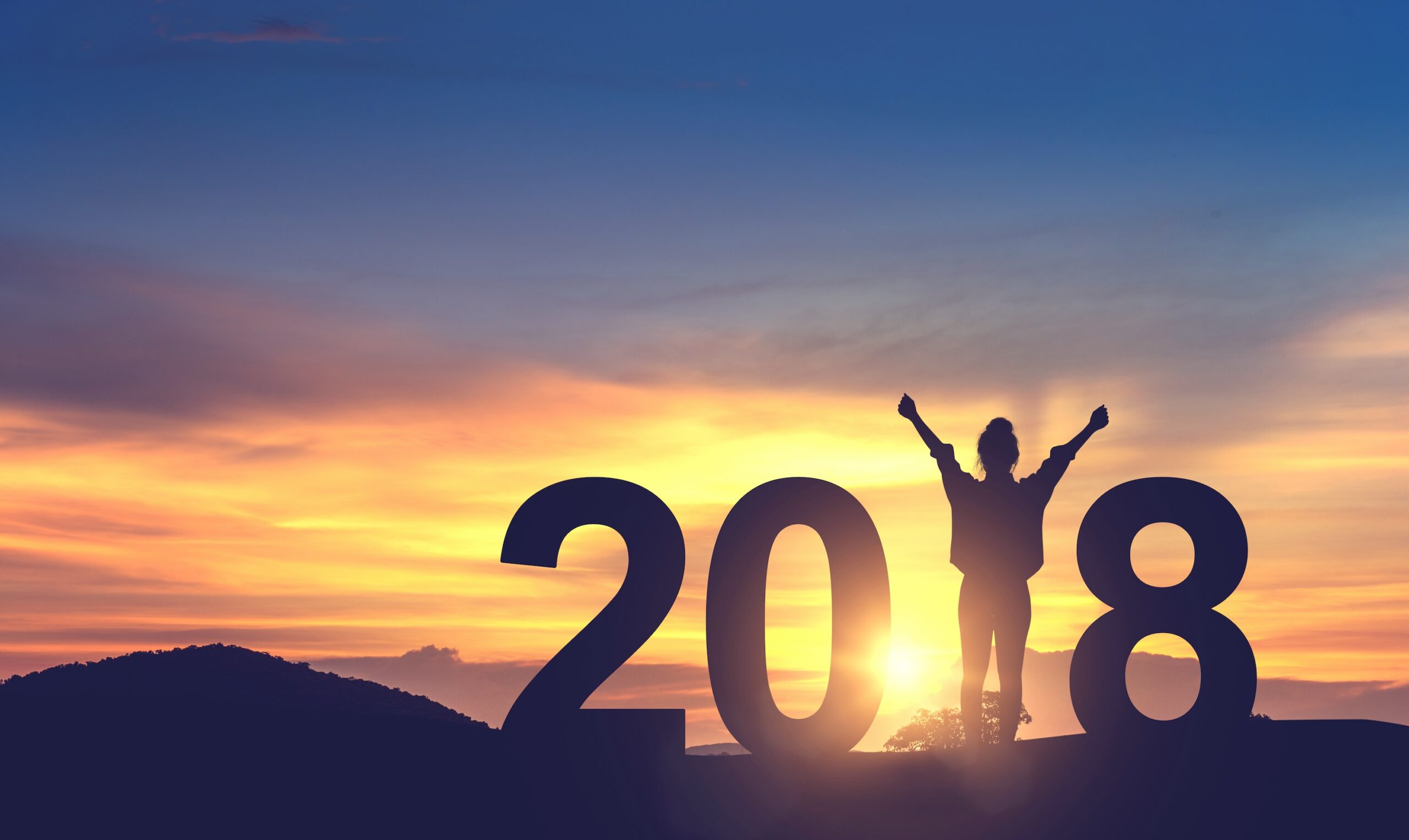 Read more about the article 2018 Year-End Wrap-Up!